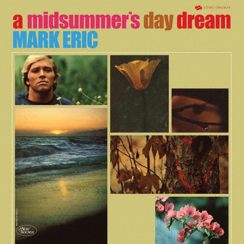 MARK ERIC / マーク・エリック / A MIDSUMMERS DAYDREAM 12' VINYL EDITION / ア・ミッドサマーズ・デイドリーム