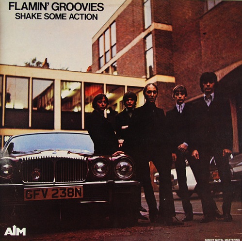 FLAMIN' GROOVIES / フレイミン・グルーヴィーズ / SHAKE SOME ACTION (LP)