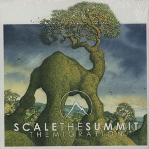 SCALE THE SUMMIT / MIGRATION