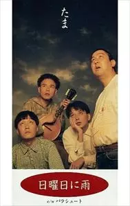 たま / 日曜日に雨