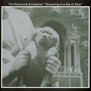 NOCTURNAL EMISSIONS / ノクターナル・エミッションズ / DROWNING IN A SEA OF BLISS (ANTHEMS OF THE MEAT GENERATION)