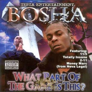 BOSHA / WHAT PART OF THE GAME IS THIS