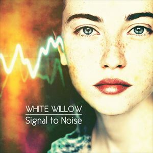 WHITE WILLOW / ホワイト・ウィロー / SIGNAL TO NOISE