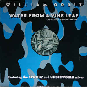 WILLIAM ORBIT / ウィリアム・オービット / WATER FROM A VINE LEAF