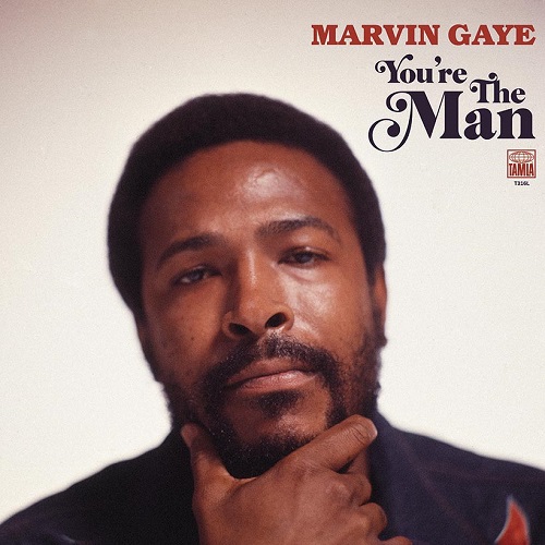 MARVIN GAYE / マーヴィン・ゲイ / YOU'RE THE MAN