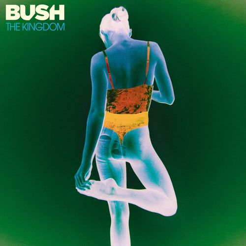 BUSH / ブッシュ / THE KINGDOM