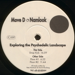 PETE NAMLOOK/MOVE D / ピート・ナムルック・アンド・ムーヴD / EXPLORING THE PSYCHEDELIC LANDSCAPE