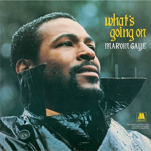 MARVIN GAYE / マーヴィン・ゲイ / WHAT'S GOING ON (10")