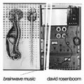 DAVID ROSENBOOM / デヴィッド・ローゼンブーム / BRAINWAVE MUSIC / ブレインウェーヴ・ミュージック