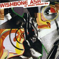 WISHBONE ASH / ウィッシュボーン・アッシュ / NO SMOKE WITHOUT FIRE / 因果律