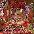 INTESTINAL DISGORGE / DRIPPING IN QUIET PLACES