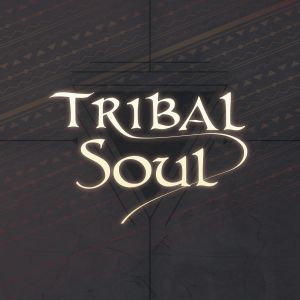 TRIBAL SOUL / トライバル・ソウル / TRIBAL SOUL / トライバル・ソウル