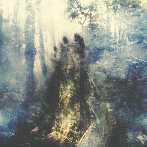 SYLVAINE / WISTFUL<DIGI>