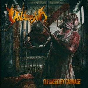 VOLTURYON / CLEANSED BY CARNAGE
