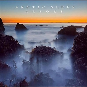 ARCTIC SLEEP / ARBORS
