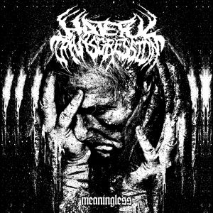HATEFUL TRANSGRESSION / ヘイトフル・トランスグレッション / MEANINGLESS / ミーニングレス