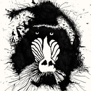 FERAL OHMS / FERAL OHMS<LP>