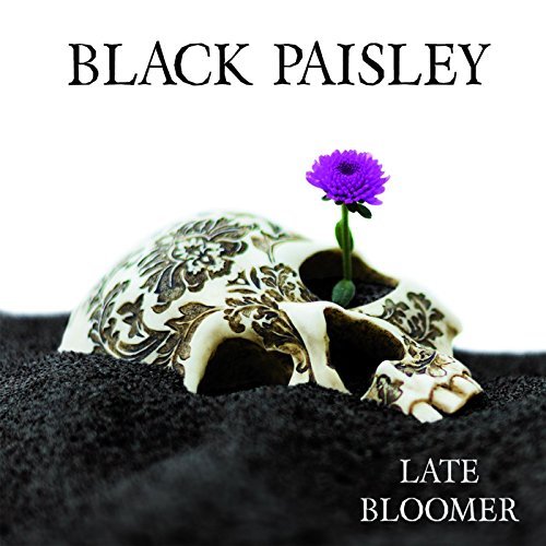 BLACK PAISLEY / ブラック・ペイズリー / LATE BLOOMER