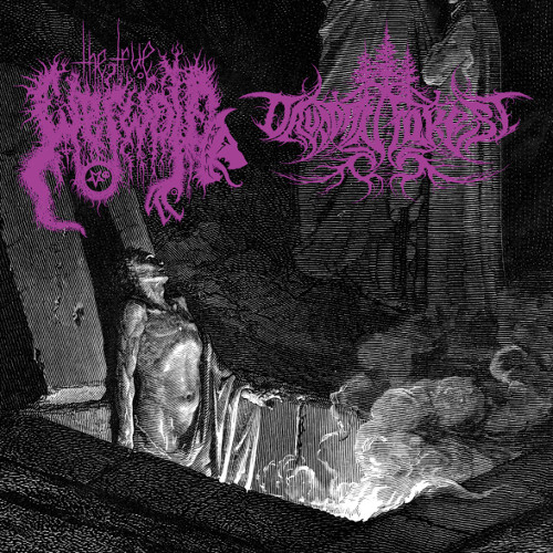 SPLIT (TRUE WERWOLF/DRUADAN FOREST) / SPLIT CD