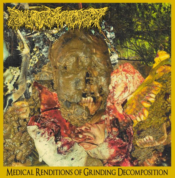 PHARMACIST  / MEDICAL RENDITIONS OF GRINDING DECOMPOSITION 