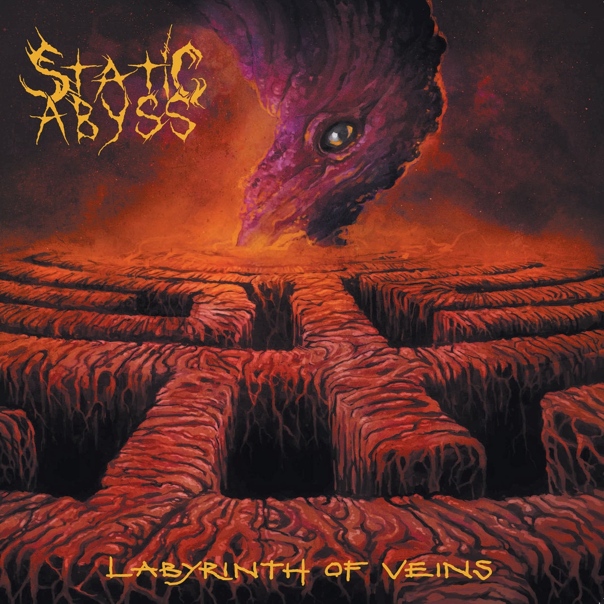 STATIC ABYSS / LABYRINTH OF VEINS<LP>