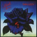 THIN LIZZY / シン・リジィ / BLACK ROSE <ON A BUDGET! MASTERPIECES!!>  