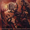 DECREPIT BIRTH / DIMINISHING BETWEEN WORLDS