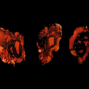 DEATHSPELL OMEGA / デススペル・オメガ / KENOSE<帯・ライナー付国内盤仕様>