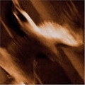 AGALLOCH / アガロク / ASHES AGAINST THE GRAIN