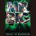 MR. BIG / ミスター・ビッグ / BACK TO BUDOKAN