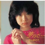 MAIKO KAWAKAMI / 川上麻衣子 / 夢みて・・・+4 COMPLETE RADIO CITY YEARS