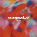 orange pekoe / Modern Lights