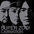 CARNATION / カーネーション / SUPER ZOO!
