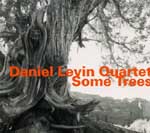 DANIEL LEVIN / ダニエル・レヴィン / SOME TREES