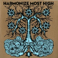 HARMONIZE MOST HIGH / Harmonize Most High (LP)