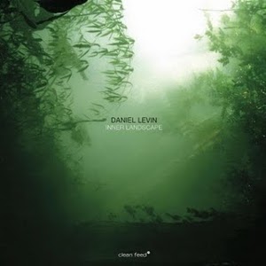 DANIEL LEVIN / ダニエル・レヴィン / Inner Landscape