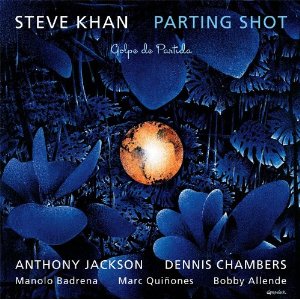 STEVE KHAN / スティーヴ・カーン / Parting Shot