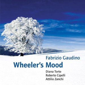 FABRIZIO GAUDINO / ファブリツィオ・ガウディノ / Wheeler’s Mood