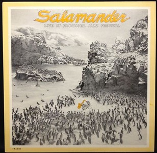 SALAMANDER / サラマンダー / Live At Northsea Jazz Festival
