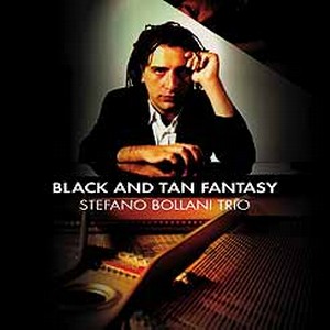 STEFANO BOLLANI / ステファノ・ボラーニ / 黒と褐色の幻想(LP)