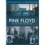 PINK FLOYD / ピンク・フロイド / THE STORY OF WISH YOU WERE HERE