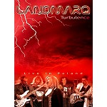 LANDMARQ / ランドマーク / TURBULENCE - LIMITED EDITION
