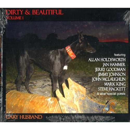 GARY HUSBAND / ゲイリー・ハズバンド / DIRTY & BEAUTIFUL VOLUME 1