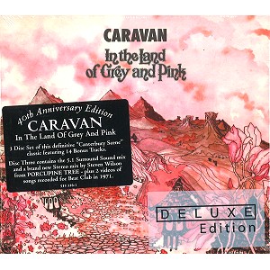CARAVAN (PROG) / キャラバン / IN THE LAND OF GREY AND PINK:40TH ANNIVERSARY EDITION - 24BIT DIGITAL REMASTER