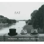FABULOUS AUSTRIAN TRIO(ALEX MACHACEK - RAPHAEL PREUSCHI - HERBERT PIRKER) / FAT: FABULOUS AUSTRIAN TRIO 