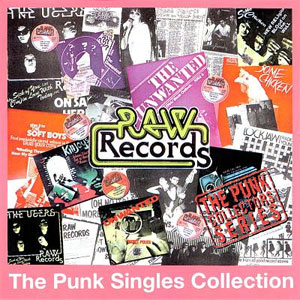 VA (PUNK COLLECTORS SERIES) / RAW RECORDS - THE PUNK SINGLES COLLECTION