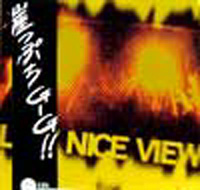NICE VIEW / ナイスヴュー / LIVE NICE VIEW (レコード)