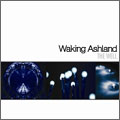 WAKING ASHLAND / ウェイキングアッシュランド / THE WELL