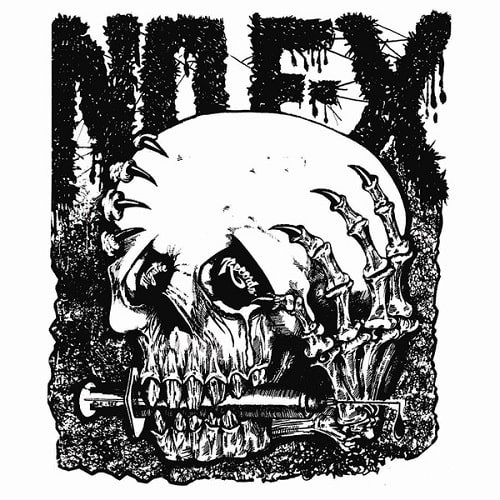 NOFX / MAXIMUM ROCKNROLL (LP)