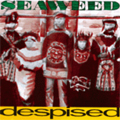 SEAWEED / DESPISED (国内盤)